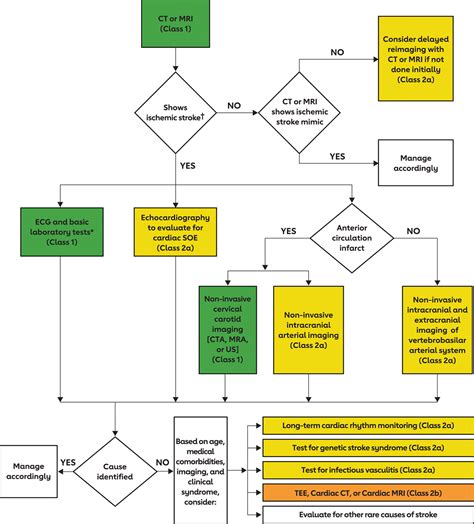 family stroke 2022|Practice Guidelines